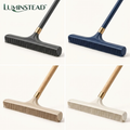 LUMINSTEAD™ Carpet Rake and Pet Hair Remover